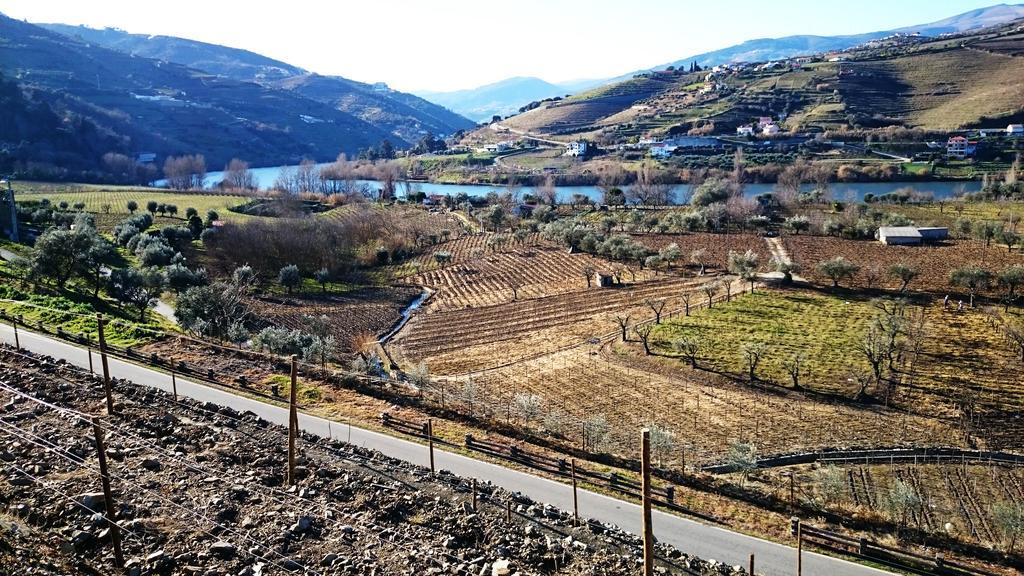 Casa Quinta Da Adega Do Chao - Vale Do Douro Villa Lamego Phòng bức ảnh
