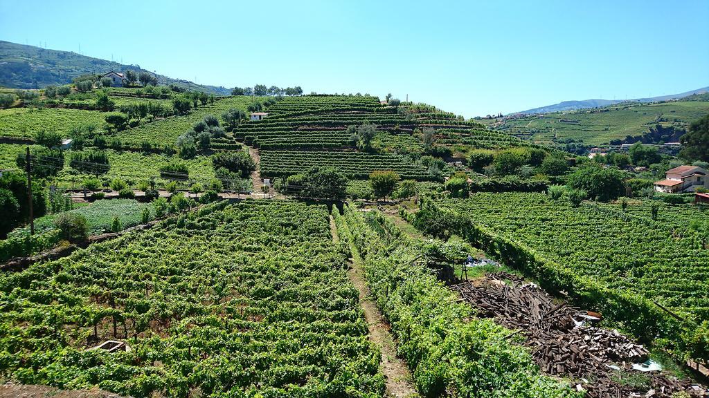 Casa Quinta Da Adega Do Chao - Vale Do Douro Villa Lamego Ngoại thất bức ảnh
